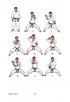 die_30_kata_des_shotokan_karate_musterseiten_250