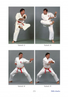 die_30_kata_des_shotokan_karate_musterseiten_273
