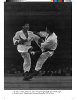 dynamic-karate-22_973838105