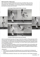 karate-do-nishiyama-hidetaka-009