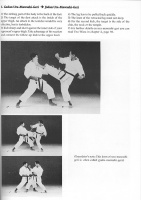 perfecting-kumite-tanaka-mashiko-schlatt-012