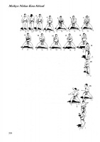 traditionelles-fudokan-karate-prof-dr-ilija-jorga-mein-weg-10